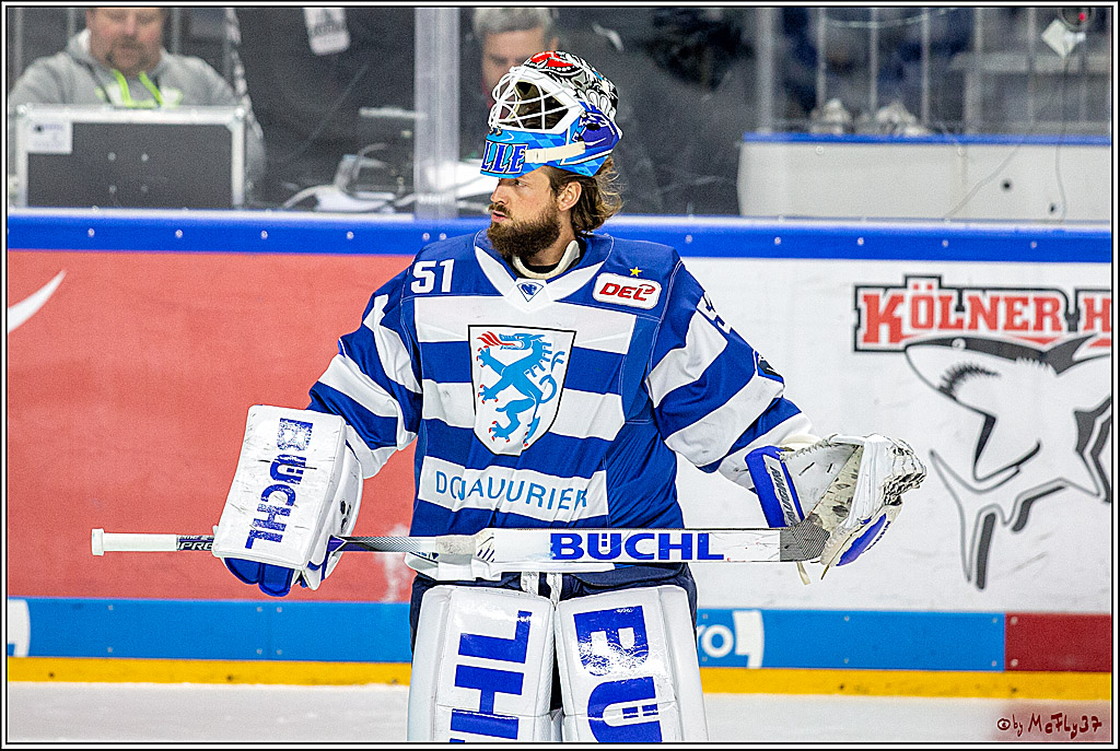 DEL; Koelner Haie - ERC Ingolstadt; Koeln, 03.11.2019